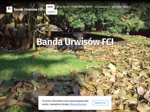 Banda Urwisów FCI